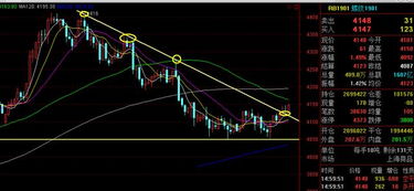 稅收升級商品期貨黑色洗不跌,物極必反